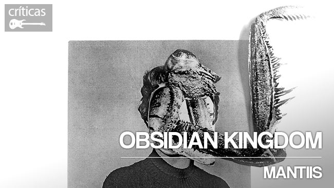 Obsidian Kingdom